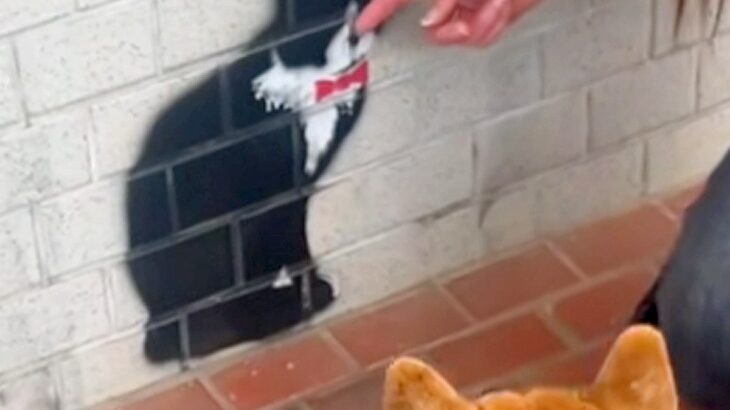 猫のことが大好きな犬→散歩中に見つけた『壁に描かれた猫』を撫でた結果…勘違いで見せた『まさかの光景』に反響「可愛い」「なんとも愛らしい」(ブログ)