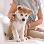 犬を飼ったばかりの人がぶつかる4つの壁　念願の愛犬との暮らしを充実させるための心得とは？(ブログ)