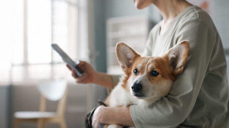 犬を病院に連れて行くときに『絶対守るべきマナー』4つ　知っておきたい注意点まで(ブログ)