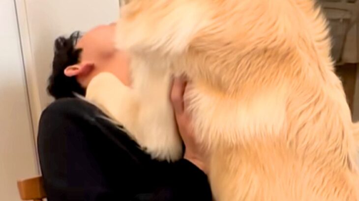 パパとイチャイチャする大型犬→気持ちは『子犬のまま』で…まさかの『自分のデカさを全く理解していない光景』に反響「重い癒し」「羨ましすぎ」(ブログ)