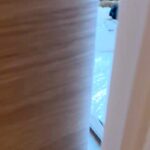 『仕事、がんばるぞ』と部屋に入った結果→犬と猫がゴロゴロしていて…仕事できるわけがない光景が53万再生「ぬいぐるみかとｗ」「混ざりたい」(ブログ)