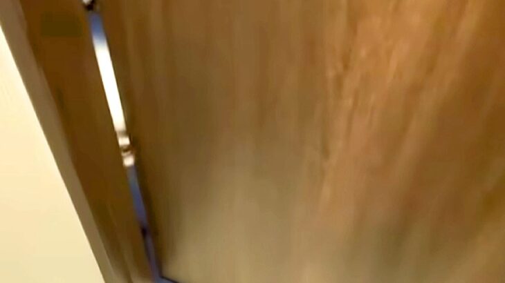 トイレに入っていたら、ドアの隙間から『わたあめのような子犬』が覗いてきて…とんでもなく尊い『表情』が81万再生「笑顔になった」「可愛い」(ブログ)