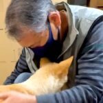 介護が必要な犬が『子犬の時に優しくしてくれたおじいちゃん』と再会した結果…あまりにも『感動的な光景』が6万再生「涙が出た」「愛伝わる」(ブログ)