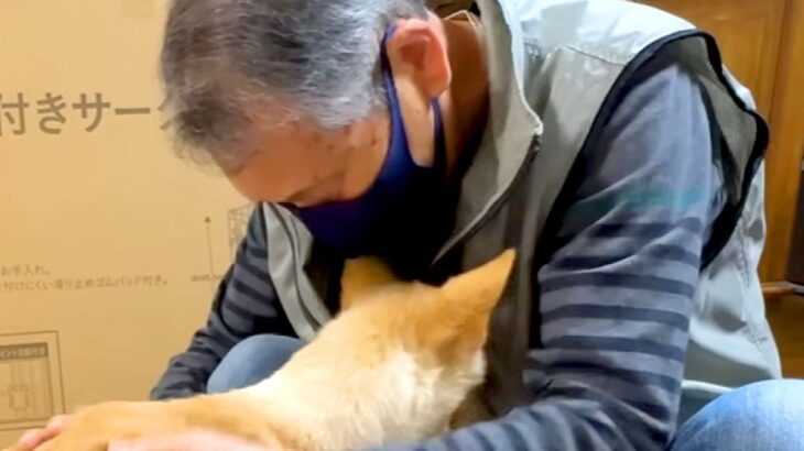 介護が必要な犬が『子犬の時に優しくしてくれたおじいちゃん』と再会した結果…あまりにも『感動的な光景』が6万再生「涙が出た」「愛伝わる」(ブログ)