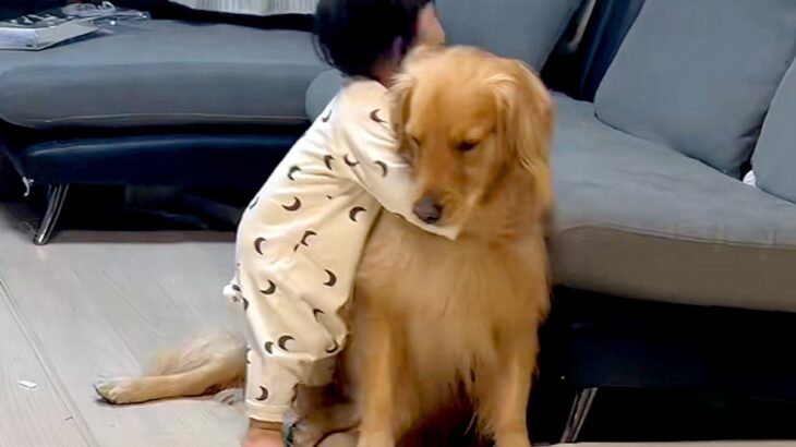 大型犬がいる家庭に『男の子が生まれた』結果→まるで『本当のお兄ちゃん』のように…尊すぎる『お世話』が154万再生「優しいね」「泣きそう」(ブログ)