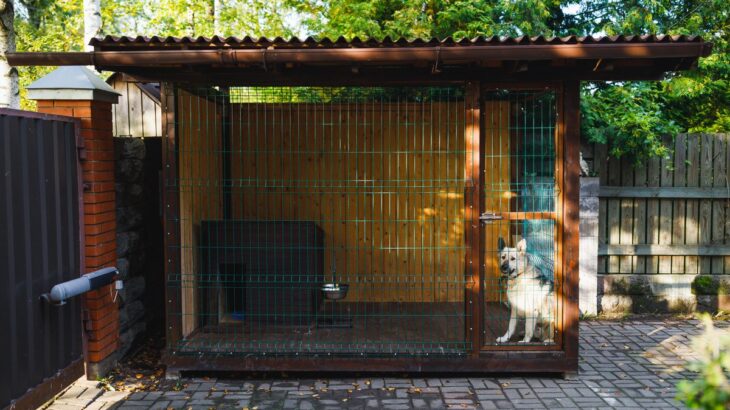 犬を『外飼いしてはいけない』理由6選　起こり得るトラブルや室内飼いのメリットまで(ブログ)