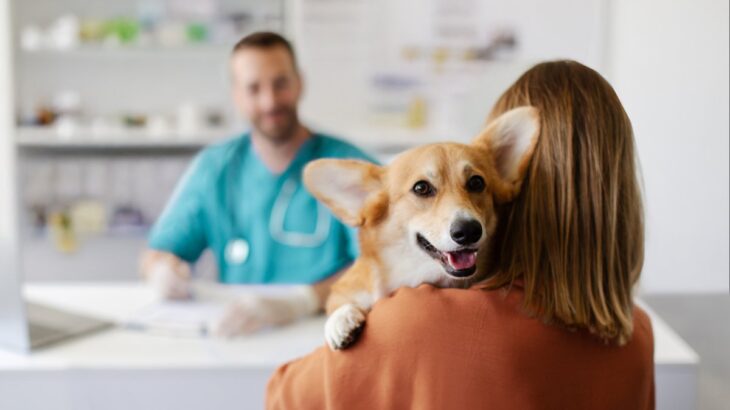 『病院が苦手な犬』がみせる行動５選　嫌いになってしまう原因やポジティブな印象をもってもらうためにできることまで(ブログ)