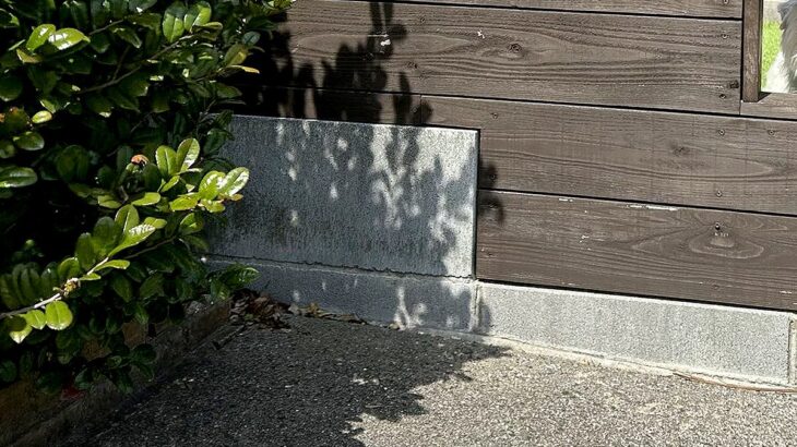庭で水やり中、なぜか『視線』を感じたので振り返ると…視界に入った『まさかの正体』に1万いいね「めっちゃ見られてて草」「可愛い覗き方ｗ」(ブログ)