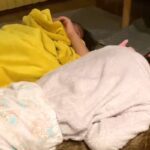 喧嘩になった双子の姉妹→号泣していたら、状況を察した犬が…『ぼくのことで喧嘩しないで』尊すぎる展開が26万再生「無償の愛…」「絆が深い」(ブログ)