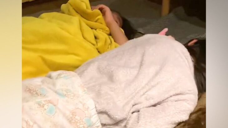 喧嘩になった双子の姉妹→号泣していたら、状況を察した犬が…『ぼくのことで喧嘩しないで』尊すぎる展開が26万再生「無償の愛…」「絆が深い」(ブログ)