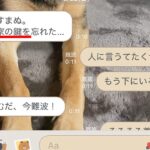深夜、夫から『家の鍵を忘れた』とLINE→起こされた犬が『怒ってしまうかな』と思いきや…愛を感じる光景が20万再生「優しい」「たまらん」(ブログ)