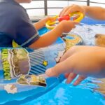小さい男の子が『プールで浮き輪に乗った』結果→大型犬が『溺れている』と勘違いして…まさかの光景が22万再生「頼れる兄貴」「ウルウルした」(ブログ)