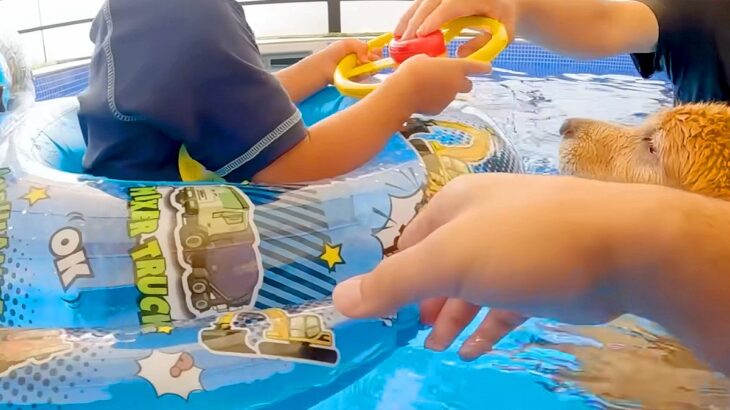 小さい男の子が『プールで浮き輪に乗った』結果→大型犬が『溺れている』と勘違いして…まさかの光景が22万再生「頼れる兄貴」「ウルウルした」(ブログ)