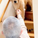 『おじいちゃんとの留守番』を大型犬にお願いした結果→『置いて行かれる』と察して…わかりやす過ぎる態度が41万再生「感情がｗ」「疑いの目」(ブログ)