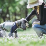 愛犬の『寿命を延ばす』ためにできること4選 　病気の予防法や健康管理のコツまで(ブログ)