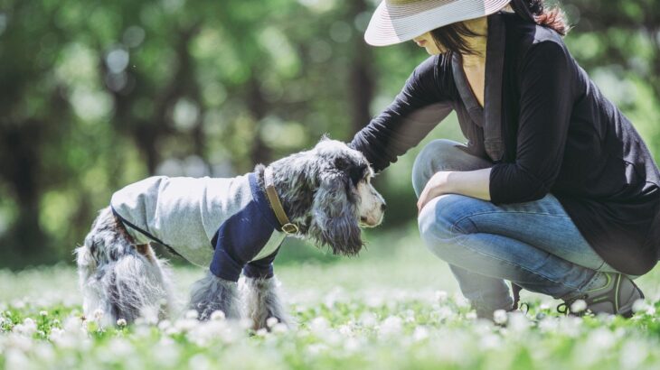 愛犬の『寿命を延ばす』ためにできること4選 　病気の予防法や健康管理のコツまで(ブログ)