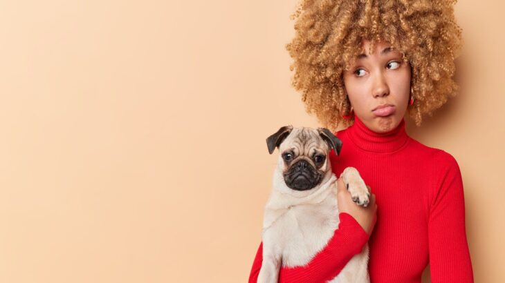 犬が『飼い主を避けるようになる』絶対NG行為3選　信頼関係が崩壊しているサインとは？(ブログ)