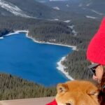 高いところが大好きな犬を『展望台に連れて行った』結果→『喜ぶかな』と思いきや…まさかのリアクションに反響「人間の子供みたい」「可愛いｗ」(ブログ)