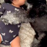 朝、赤ちゃんの隣で寝転がる犬→まるで『寝かしつけている』ようで…あまりにも尊い『平和すぎる光景』が29万再生「幸せの具現化」「腕枕が…」(ブログ)