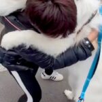 外で『仕事帰りのパパ』に会った超大型犬→嬉しくなりすぎて…自分の大きさがわかっていない『まさかのハプニング』に爆笑「大きい赤ちゃんｗｗ」(ブログ)