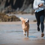 『犬に追いかけられる夢』を見る心理4選　どんな意味があるの？飼い主の精神状態まで(ブログ)