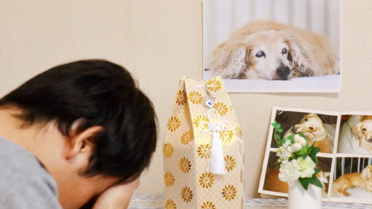 ペットロスの人に絶対言ってはいけない『NGワード』5選　愛犬を亡くした人にすべき配慮とは？(ブログ)