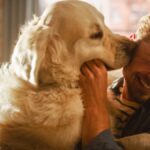 犬が『顔を舐めてくる』心理６選　やめてほしい場合に飼い主がすべき対処法とは？(ブログ)