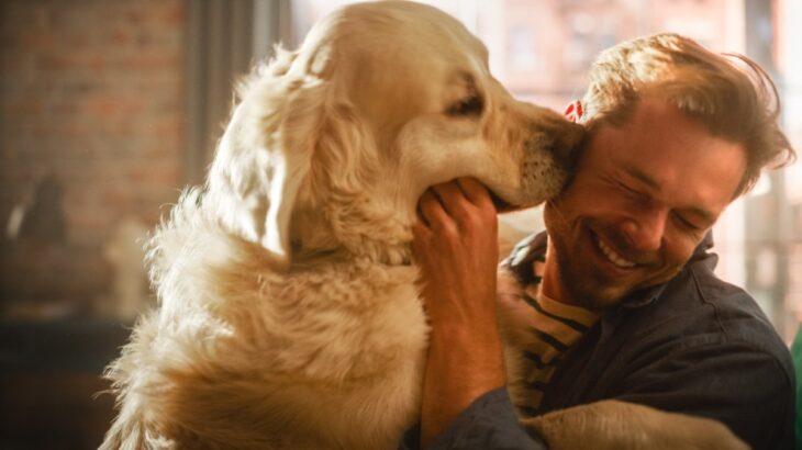 犬が『顔を舐めてくる』心理６選　やめてほしい場合に飼い主がすべき対処法とは？(ブログ)