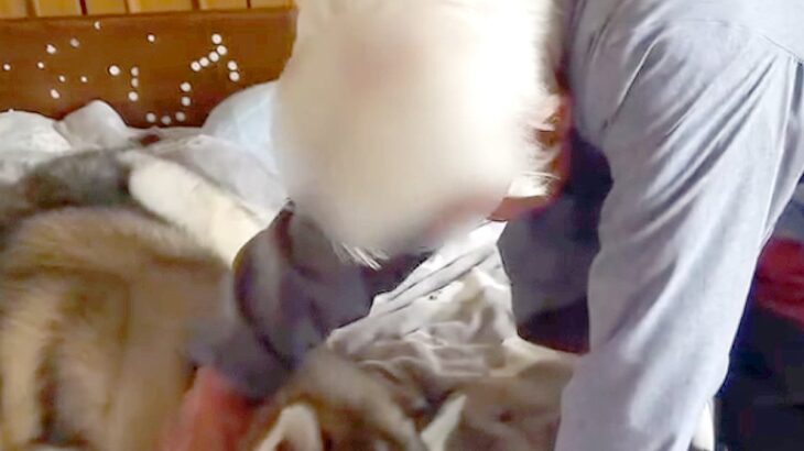 87歳おばあちゃんのベッドを『大型犬が占領した』結果→怒るかと思いきや…まるで『本当の孫のような光景』に反響「最高の家族」「幸せすぎ」(ブログ)