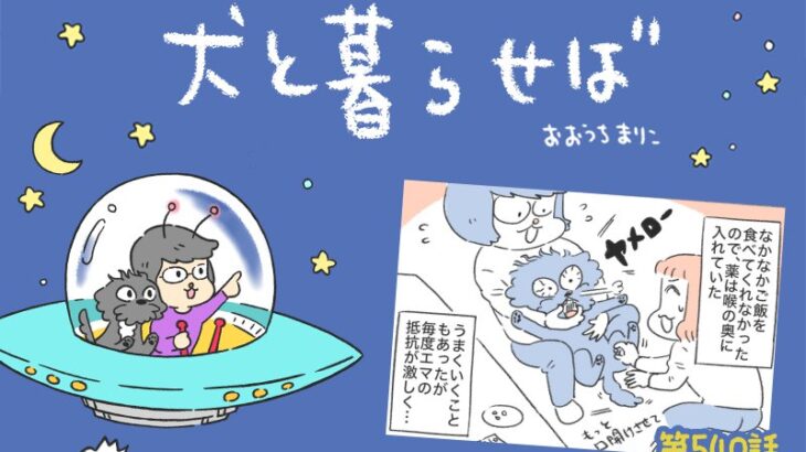 犬と暮らせば【第540話】「ゼッタイ飲まないマン」(ブログ)