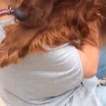 大好きなお姉さんに会った大型犬→立ち上がっただけで『帰っちゃうの？』と勘違いして…必死過ぎる『引き留め方』が39万再生「泣ける」「健気」(ブログ)
