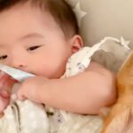 パパがいなくて寂しがる赤ちゃん→犬が優しく寄り添ってくれて…まるで人間のように『優しくて尊い光景』に反響「頼もしい」「本当に仲がいい」(ブログ)