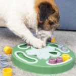 犬を満足させる『知育遊び』7つ　愛犬を楽しませるために意識すべきポイントとは？(ブログ)