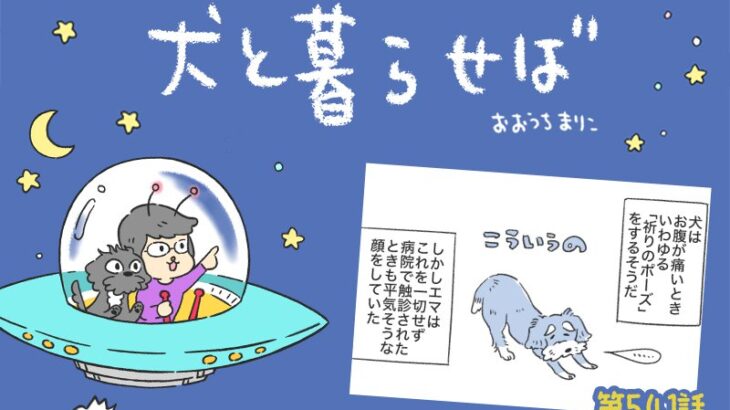 犬と暮らせば【第541話】「怖かったコト」(ブログ)