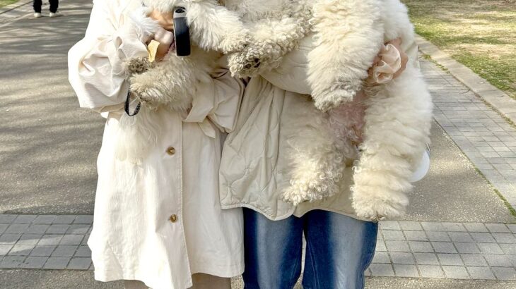 2匹の犬を抱っこして『記念撮影』をした結果→脳がバグる『奇跡の1枚』に3万いいね集まる「完全に錯覚起こしたｗｗ」「絶対AIだと思った」(ブログ)