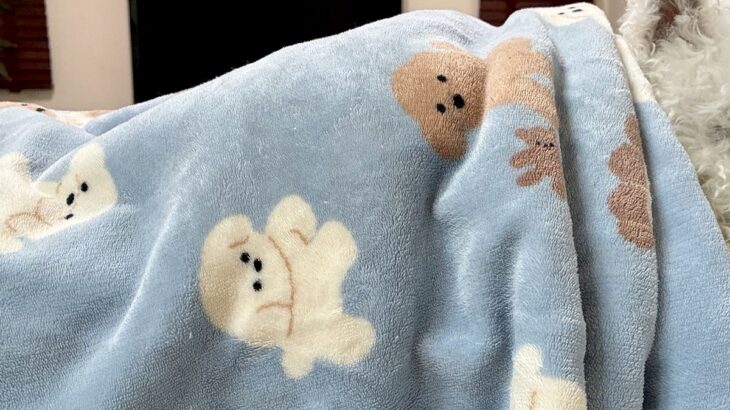 実家に犬を預けた結果→『寂しがっているかな』と思ったら、寝かしつけられていて…本当の孫のような『表情』に4万いいね「人みたい」「尊すぎ」(ブログ)