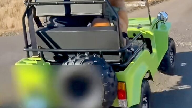 乗り物が大好きな犬に、サプライズで『本物の車』を買った結果→乗せてみると…愛おしすぎる光景が77万再生「駄々こねてて笑うｗ」「嬉しそう」(ブログ)