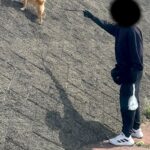 『急な斜面』を駆け上がる犬→思った以上に『得意げな表情』が可愛すぎると259万表示「ヤギ顔負けｗｗ」「小学生男子の心を持ってる」と反響(ブログ)