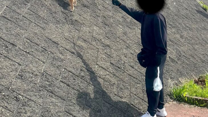 『急な斜面』を駆け上がる犬→思った以上に『得意げな表情』が可愛すぎると259万表示「ヤギ顔負けｗｗ」「小学生男子の心を持ってる」と反響(ブログ)