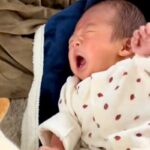 泣き止まない赤ちゃん→気付いた犬が『ボール』を運んできて…『一生懸命に泣き止ませようとする光景』に感動「なんて優しい…」「愛だね」(ブログ)