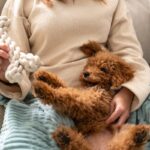 犬からの『信頼度』を測る方法５選　主なチェック項目や飼い主を頼りにしていないワンコがみせる行動まで(ブログ)