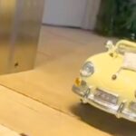 結婚式場のドアが開くと『2匹の犬』が現れて…思わず歓声があがった『とんでもなく尊い登場の仕方』が14万再生「主役感」「運転してる？ｗ」(ブログ)