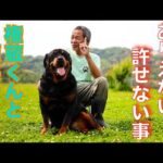 これんって許される事でしょうか？(YouTube)