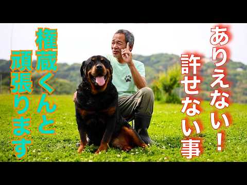これんって許される事でしょうか？(YouTube)