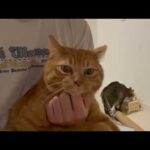 おひさ〜(YouTube)