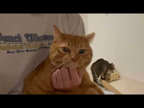 おひさ〜(YouTube)