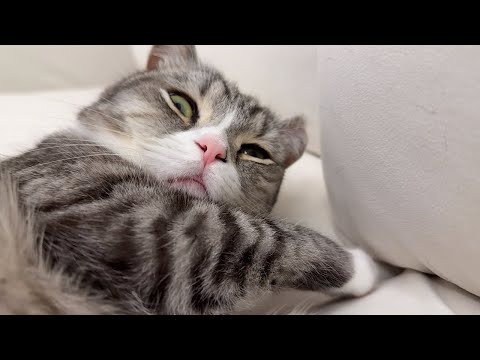 寝顔を撮られてたのに気づいたもちのリアクションがこちらw(YouTube)