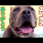 【卒業】達者でな！(YouTube)