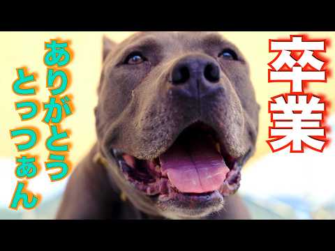 【卒業】達者でな！(YouTube)