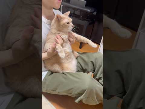 おぉぉろぉぉぉせぇぇぇ(YouTube)